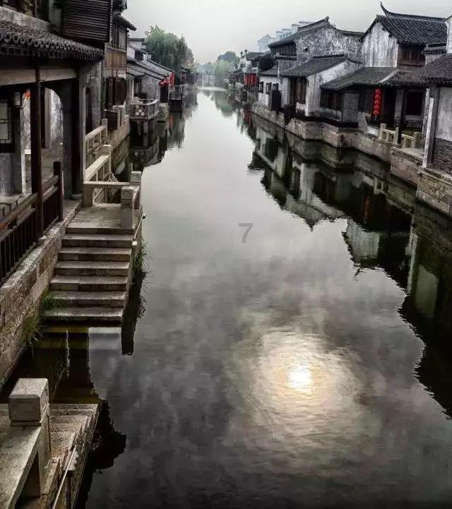 动物帮帮忙保卫家园
